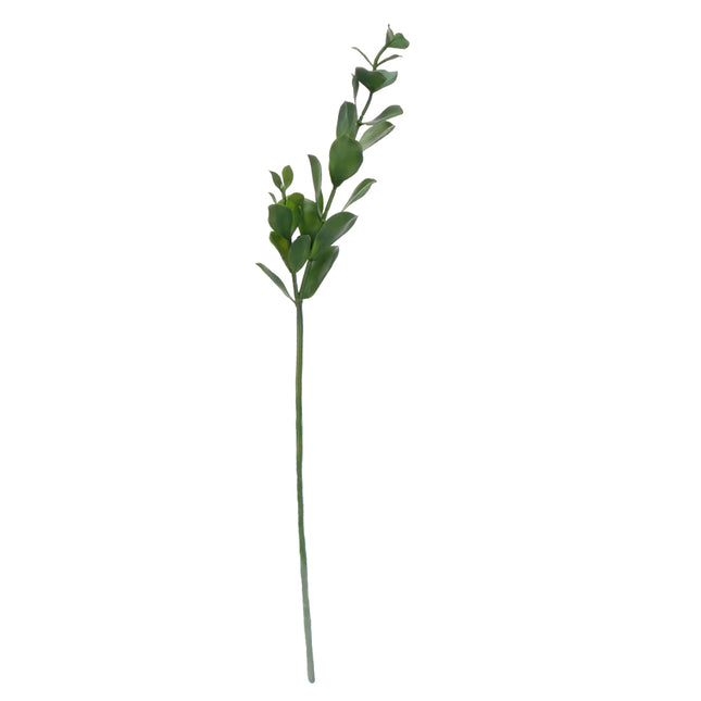 02002156_ruscus-x1-mix-h22-umely