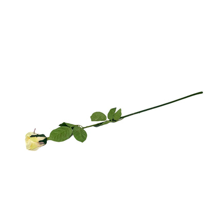 02002163_ruza-puk-latkova