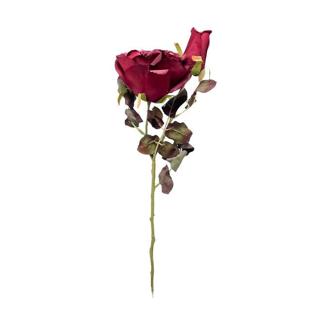 02002345_ruza-um-trsova