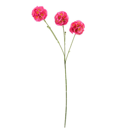 02002450_scabiosa-x3-mix-h87-umela