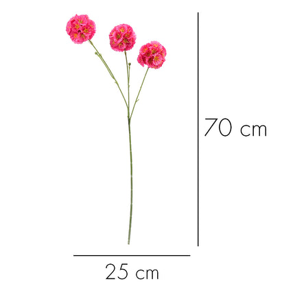 02002450_scabiosa-x3-mix-h87-umela