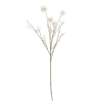 02002451_scabiosa-x4-mix-h31-umela