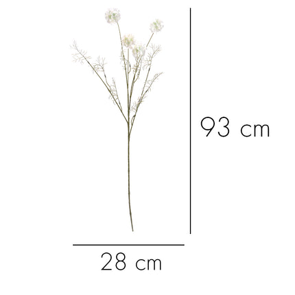 02002451_scabiosa-x4-mix-h31-umela
