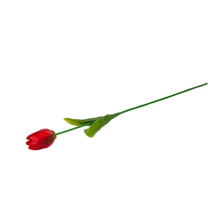 02002639_tulipan-plast