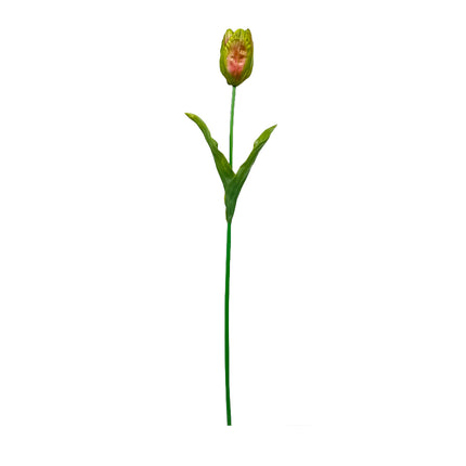 02002639_tulipan-plast
