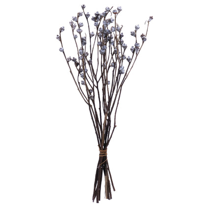 02002908_vetva-plod-eucalyptu-trvacna-60cm-balenie