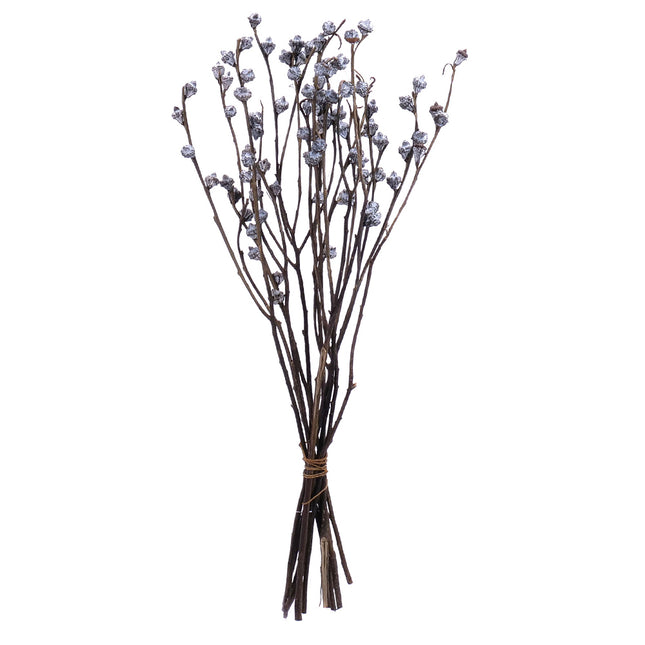 02002908_vetva-plod-eucalyptu-trvacna-60cm-balenie