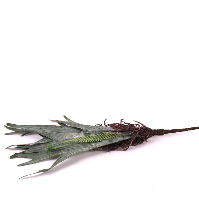 02003407_vetva-um-zelena-s-korienkami-50cm