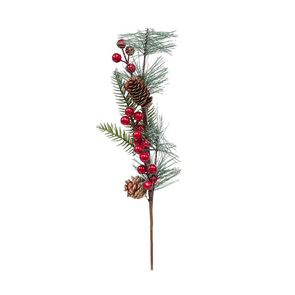02003460_vetva-um-vian-ilex-bobule