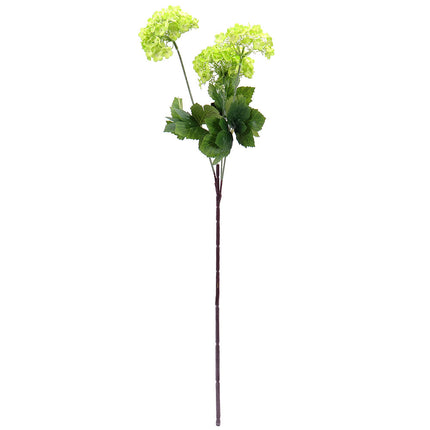 02003555_viburnum-x1-mix-g86-umele