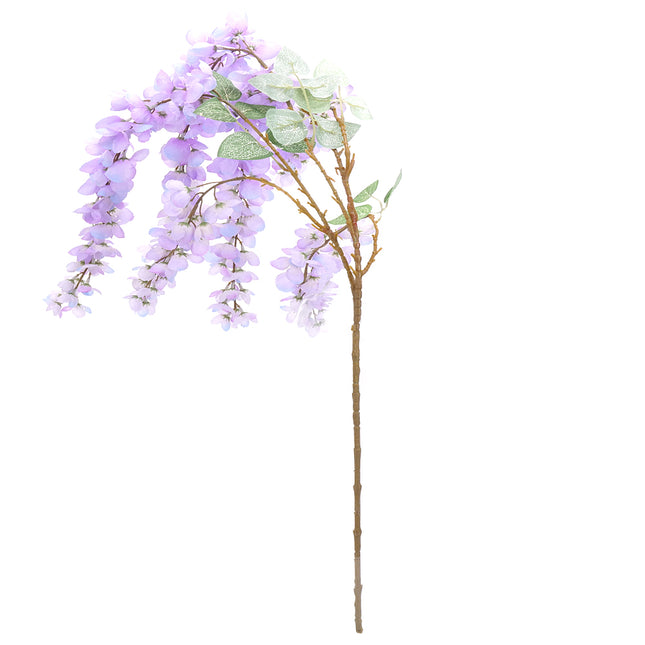 02003565_wisteria-x1-mix-g90-umela