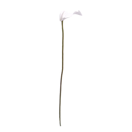 02003655_calla-x1-umela-z44