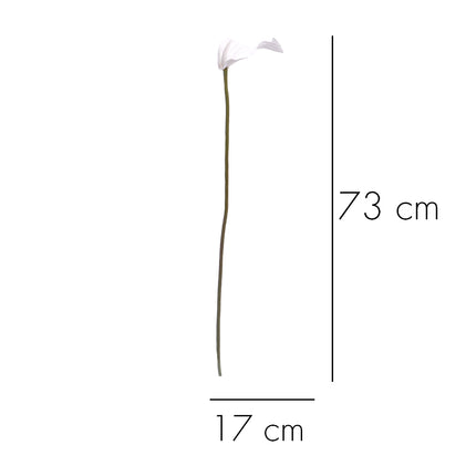 02003655_calla-x1-umela-z44