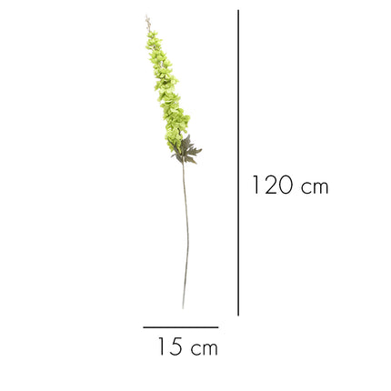 02003658_delphinium-x1-y26-umele