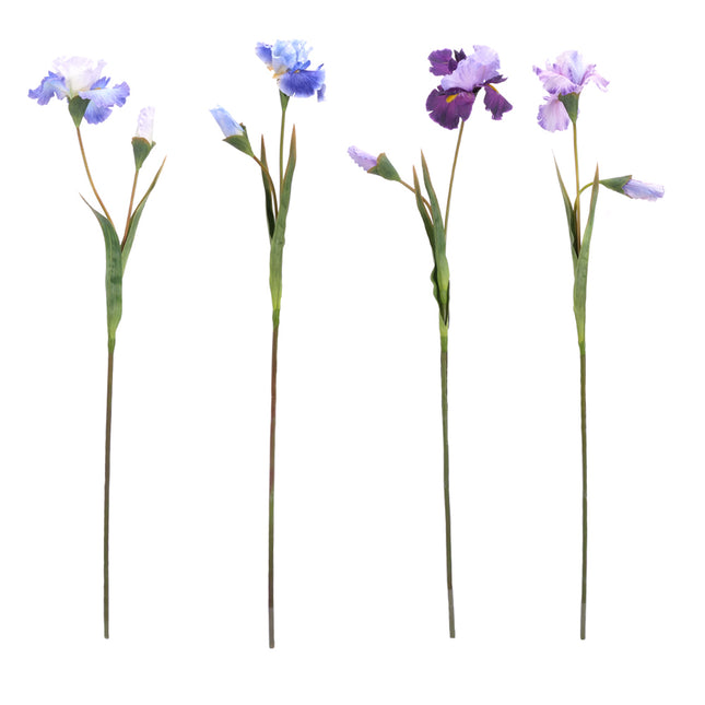 02003662_iris-x1-mix-ac1-umely