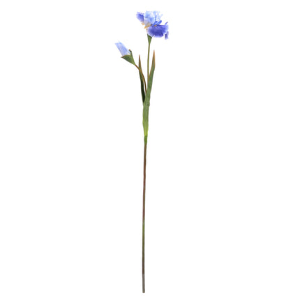 02003662_iris-x1-mix-ac1-umely
