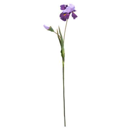 02003662_iris-x1-mix-ac1-umely