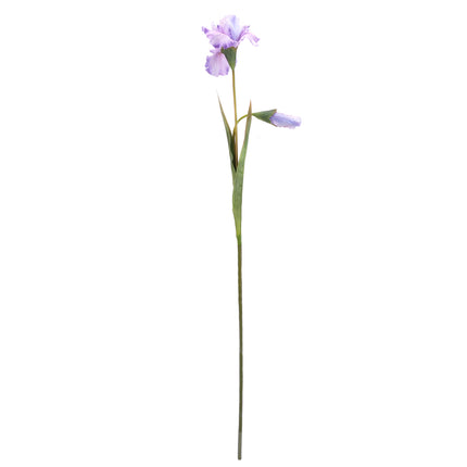 02003662_iris-x1-mix-ac1-umely