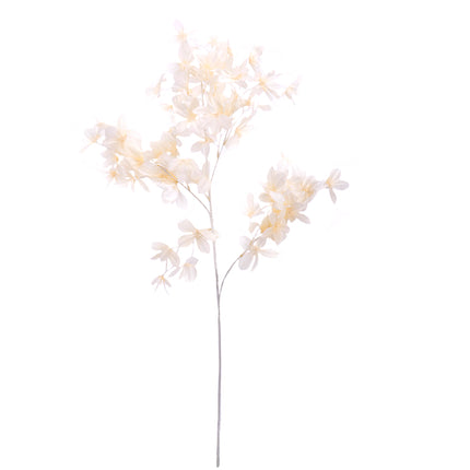 02003671_clematis-x1-y24-umely