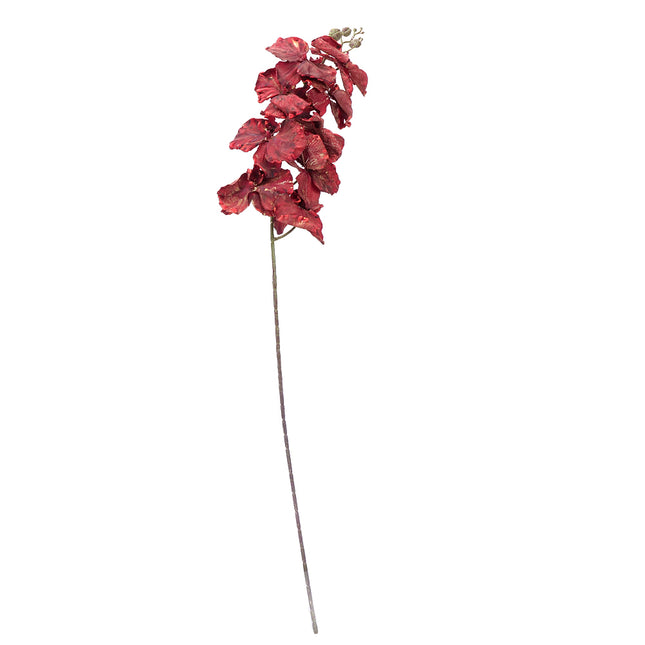 02003711_phalenopsis-x1-mix-p1-cement-umely
