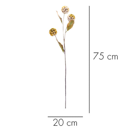 02003728_scabiosa-x3-mix-p16-cement-umela