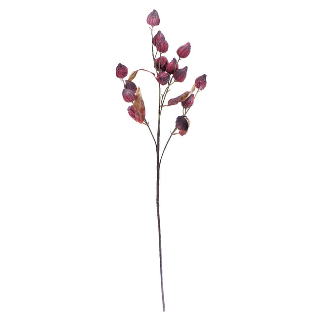 02003733_physalis-x1-mix-p34-cement-umely
