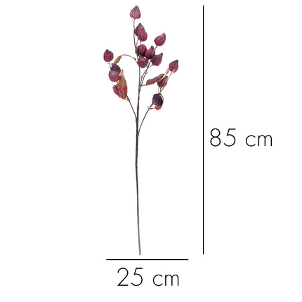 02003733_physalis-x1-mix-p34-cement-umely