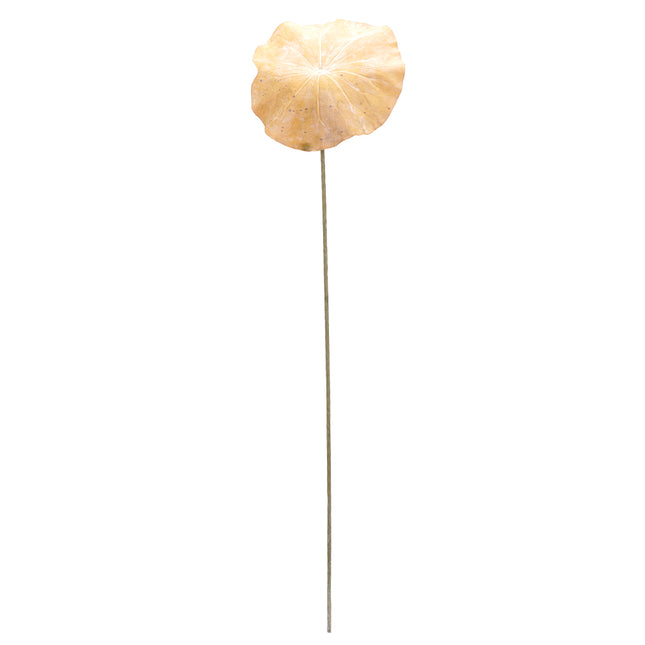 02003823_lotos-list-x1-mix-80cm-k68-umely
