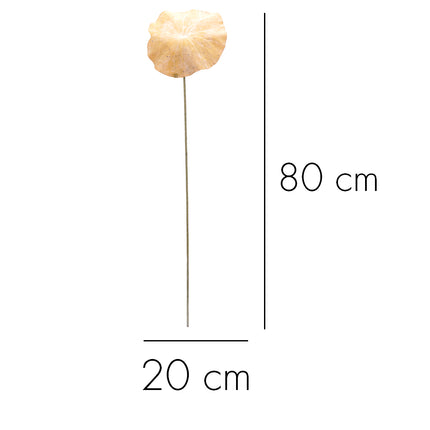 02003823_lotos-list-x1-mix-80cm-k68-umely