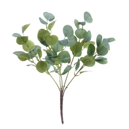 02008704_kytica-eucalyptusx5-ad3-umela