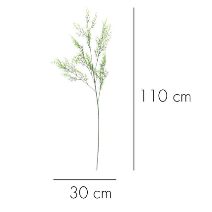 02008807_asparagus-x1-ad56-umely