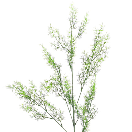 02008807_asparagus-x1-ad56-umely