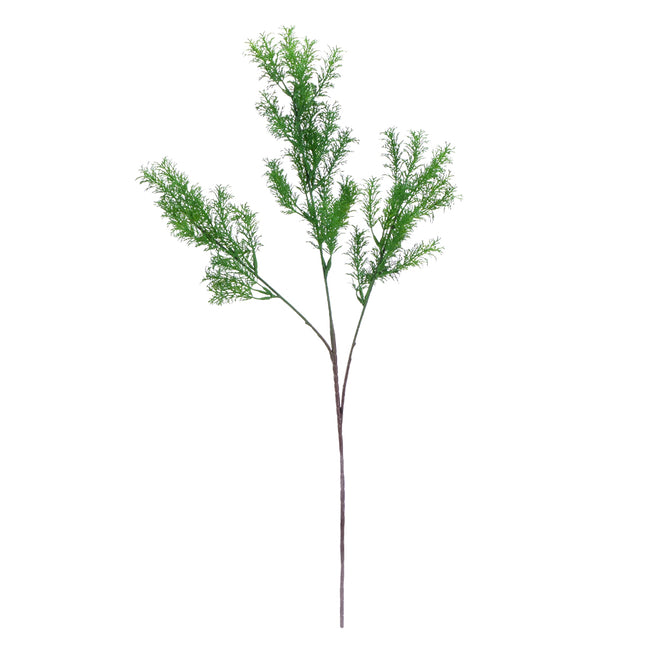 02008820_asparagus-x3-ad61-umely