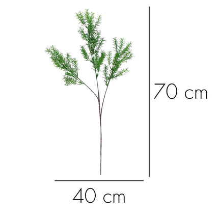 02008820_asparagus-x3-ad61-umely