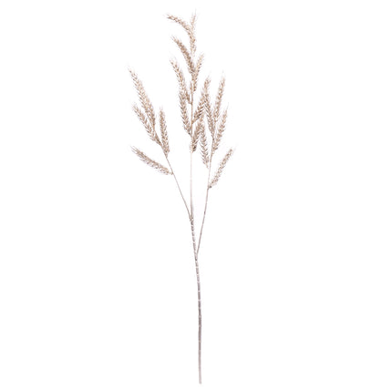 02008823_triticum-obilie-x3-ad51-mix-umela