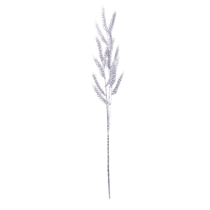 02008823_triticum-obilie-x3-ad51-mix-umela