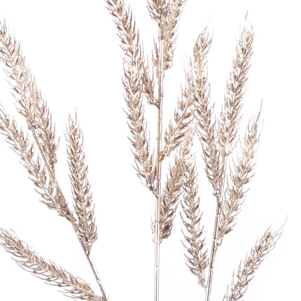 02008823_triticum-obilie-x3-ad51-mix-umela