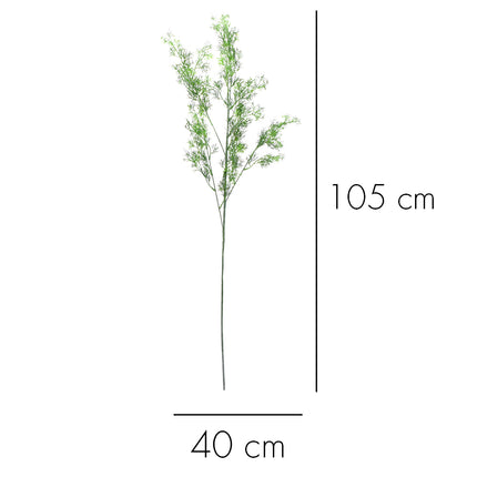 02008825_asparagus-x1-ad53-umely
