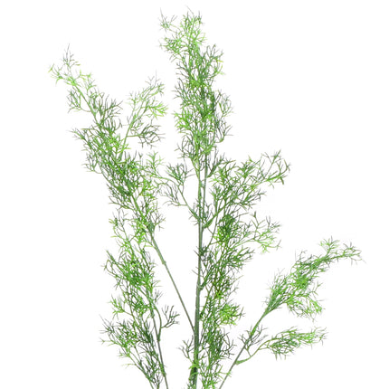 02008825_asparagus-x1-ad53-umely