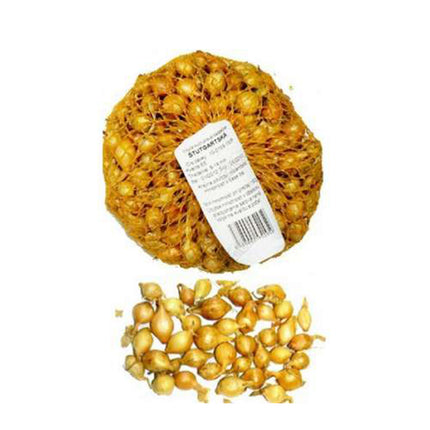 02800190_cibula-sadzacka-stutgartska-500g-gulata