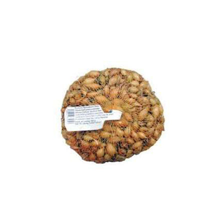 02800196_cibula-sadzacka-vsetana-sturon-500g-podlhovasta