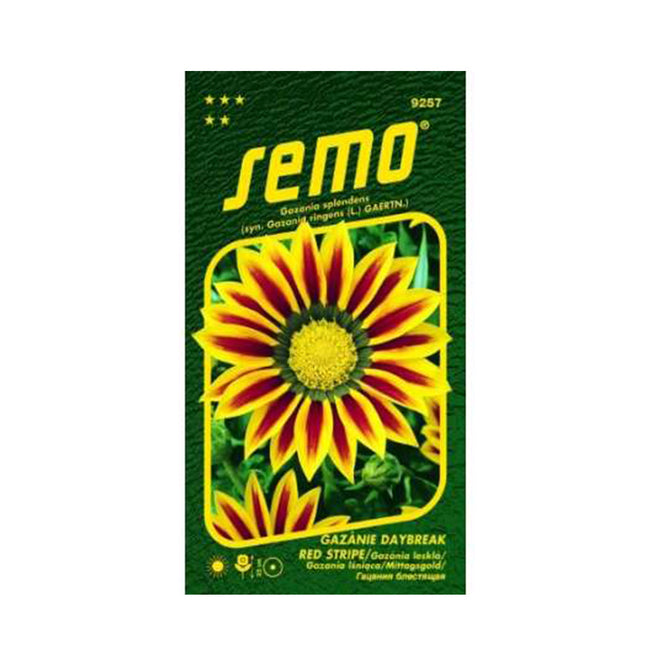 02800340_gazania-leskla-daybreak-red-stripe-semo