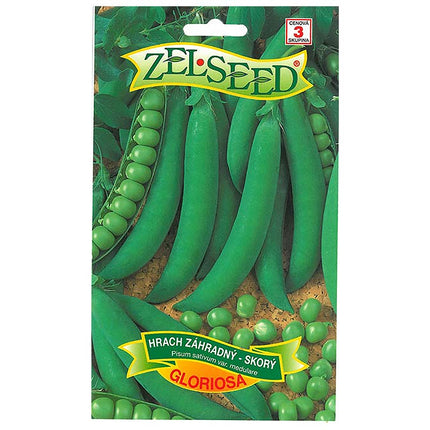 02800382_hrach-skory-gloriosa-zelseed